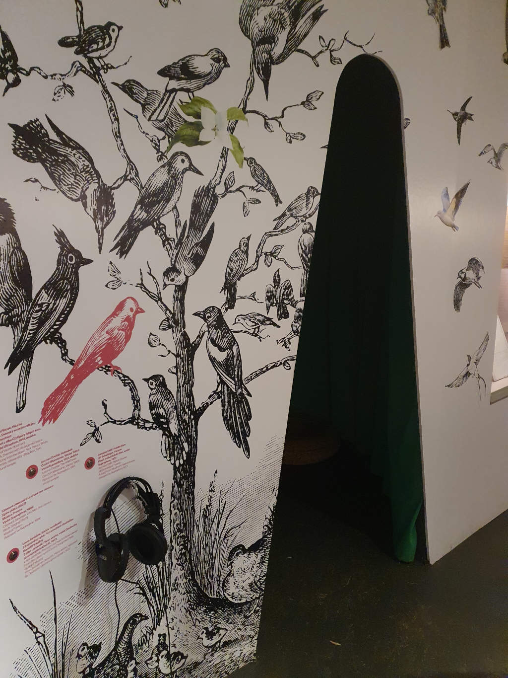 Muzeum hudby- výstava Hudební zvěřinec