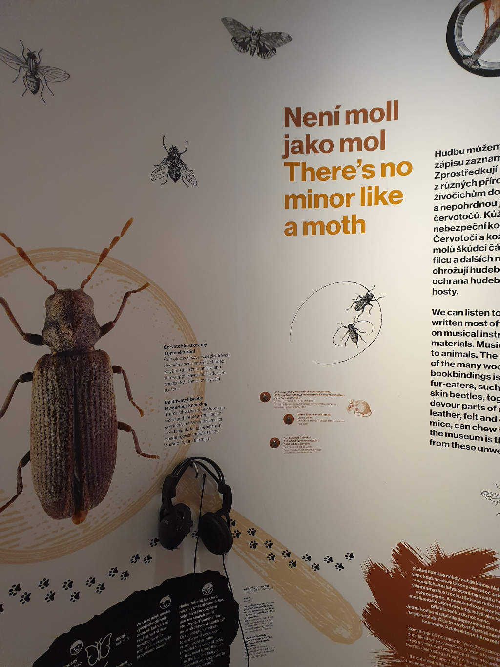 Muzeum hudby- výstava Hudební zvěřinec